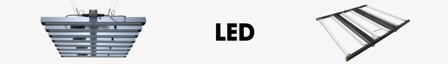LED Lampen