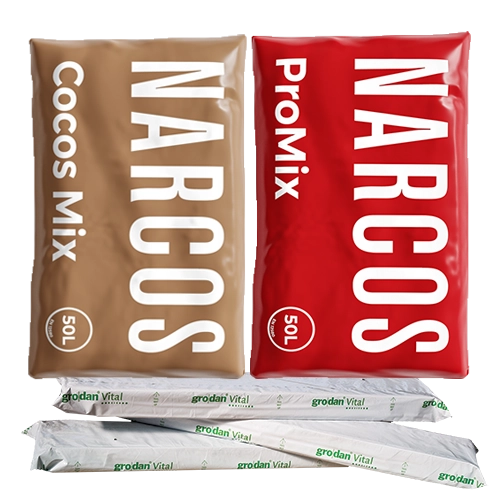Wachstumsmedium